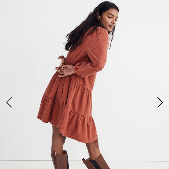 NWT Madewell Flannel Mini Dress – Size L - Picture 3 of 4